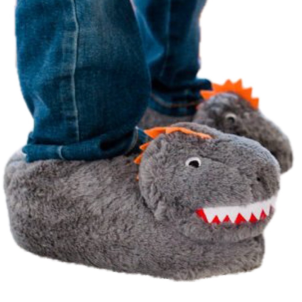 Pottery Barn Dino Critter Slippers small  NWT